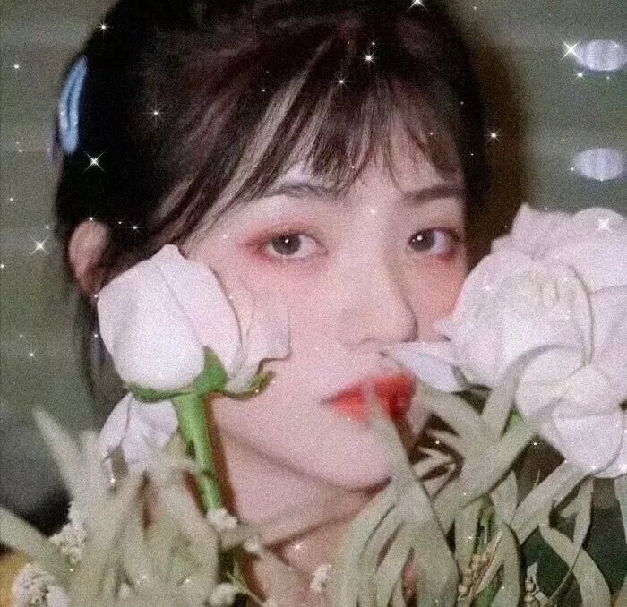 欢迎来到超自然森林